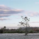 Givre matinal