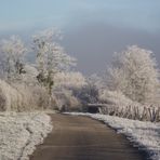 GIVRE SUR LE JURA