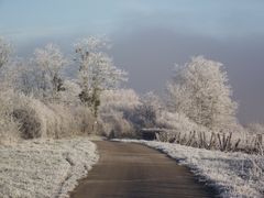 GIVRE SUR LE JURA