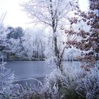 Givre sur le lac -- 12/2005 -- Reif an dem See