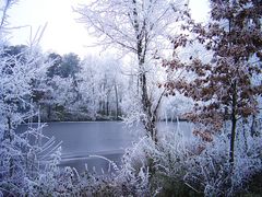 Givre sur le lac -- 12/2005 -- Reif an dem See