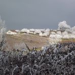 GIVRE SUR LE VIGNOBLE JURASSIEN