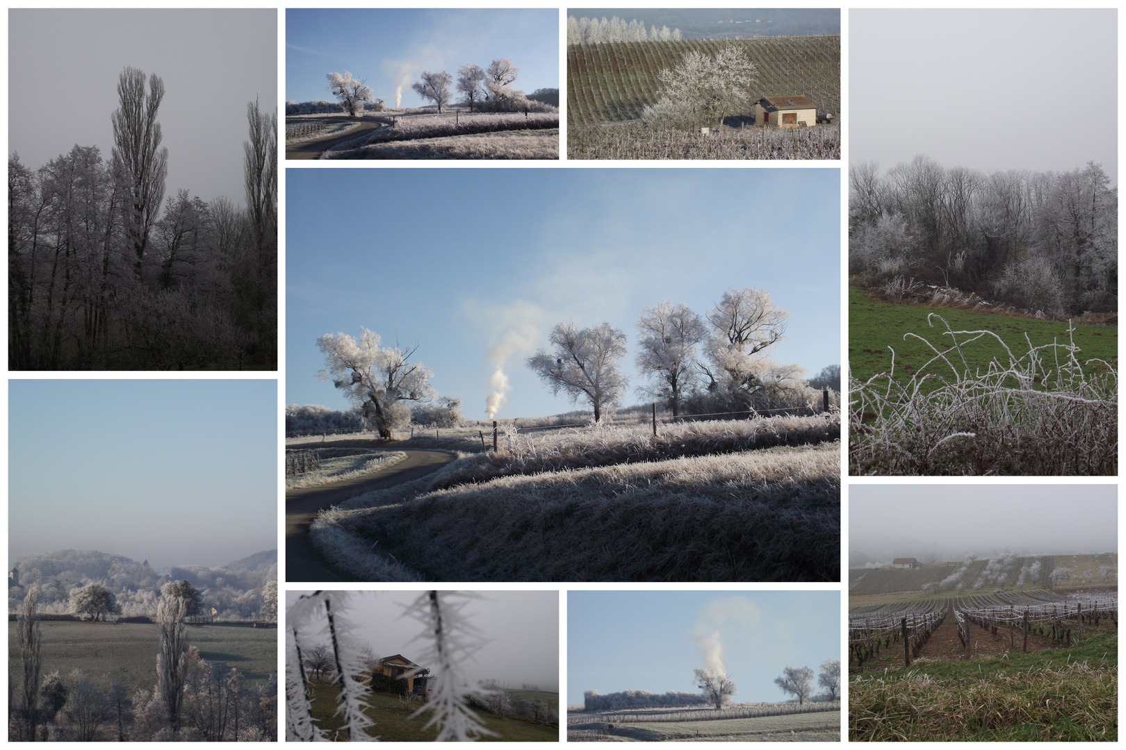 GIVRE SUR LE VIGNOBLE JURASSIEN