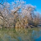 Givre sur un des lacs de la base de loisirs de Gauge