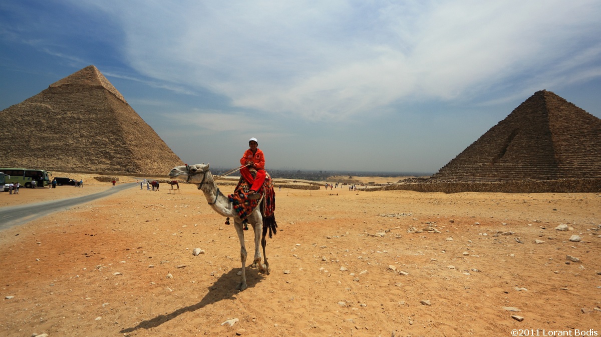 Giza Pyramid with camel - Part2