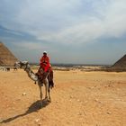 Giza Pyramid with camel - Part2