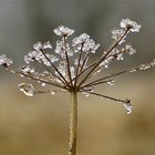 ... glacé bijoux !!!...