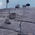 Glacial Erratics, Yosemite