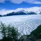 Glaciar Grey, NP Torres del Paine