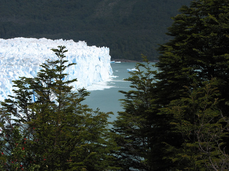 Glaciar Perito Moreno