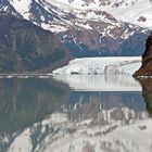 Glaciar Spegazini