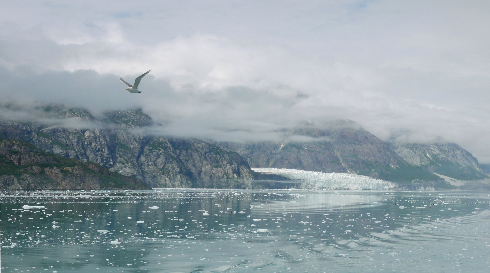 Glacier Bay