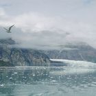 Glacier Bay