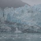 Glacier Bay