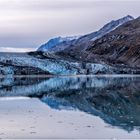 Glacier Bay.....