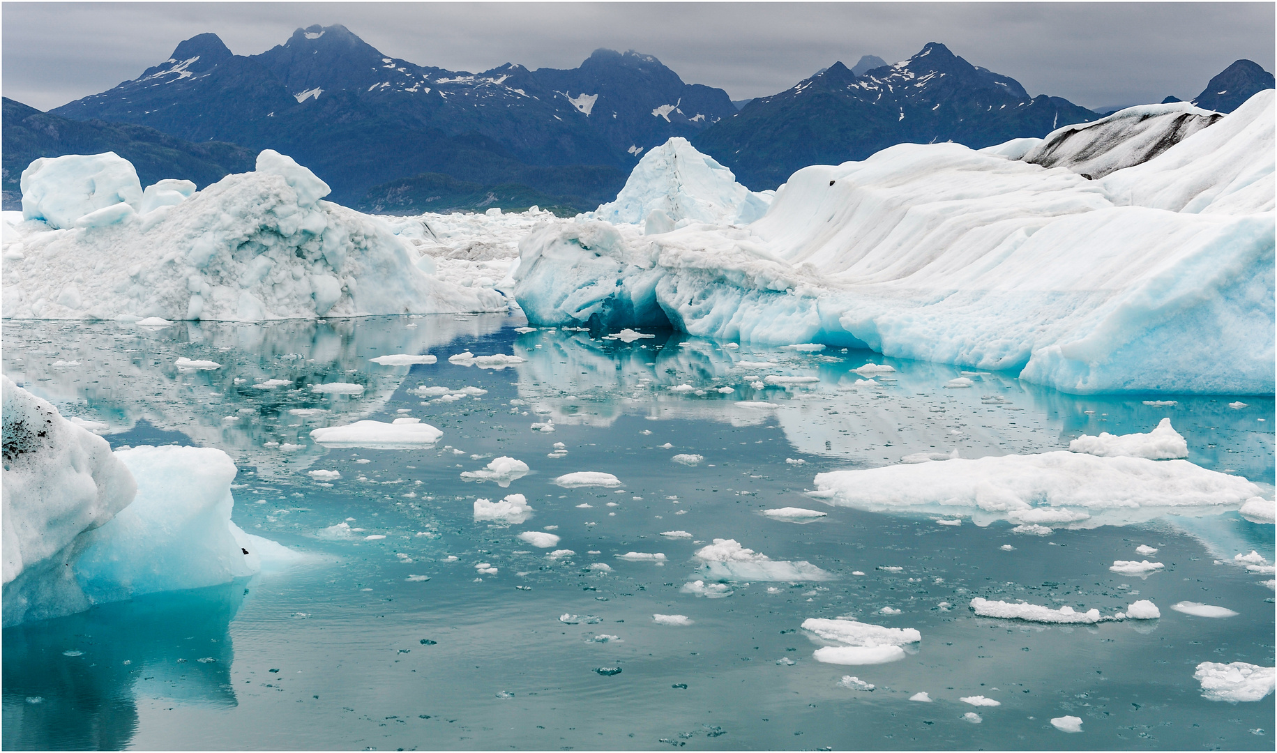 Glacier Bay - Alaska 2009