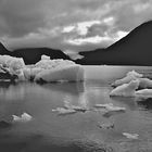 glacier bay, alaska