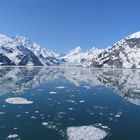 Glacier Bay , Alaska