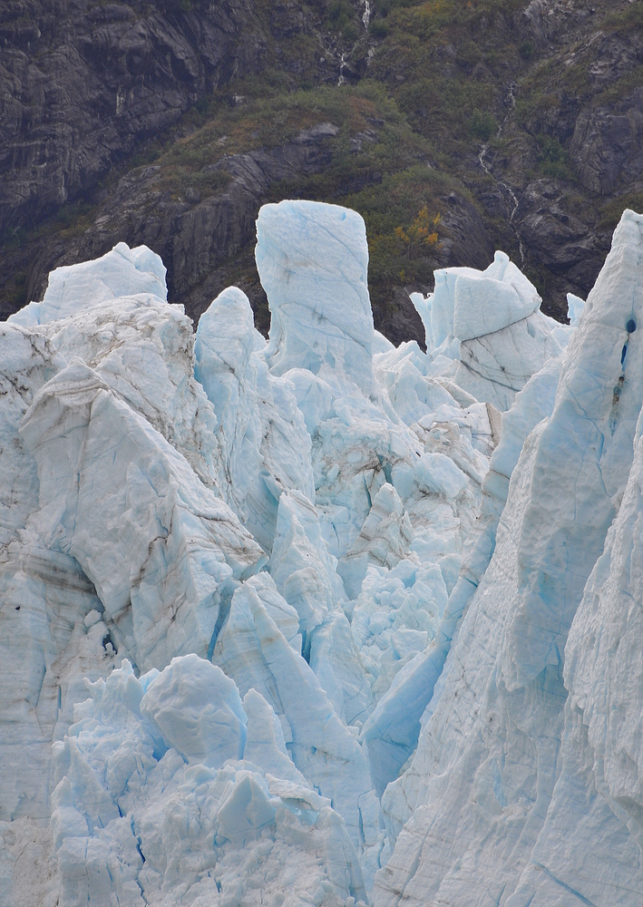 Glacier Bay, Alaska V