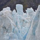 Glacier Bay, Alaska V