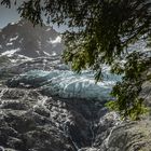 Glacier des Bossons