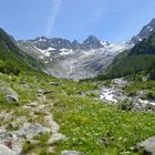 Glacier du Trient