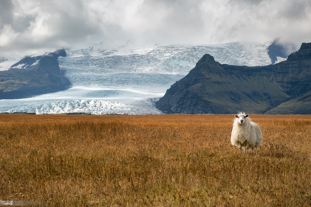 Glacier guard