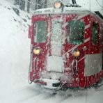 Glacier im Schnee