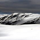 Glacier in NZ