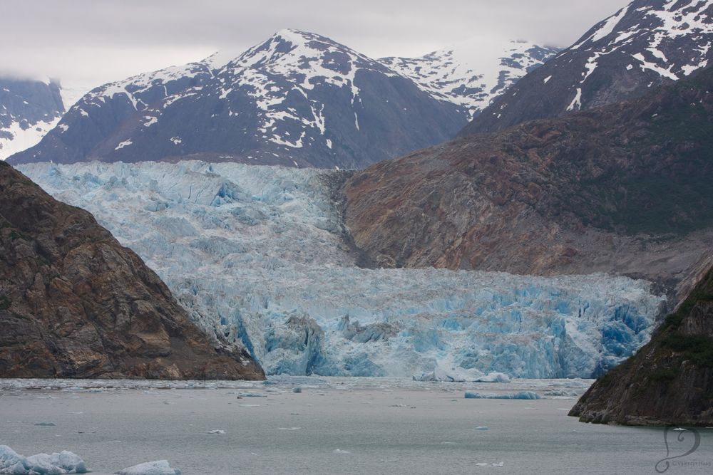 Glacier in Tracy Arm