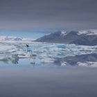 glacier lagoon