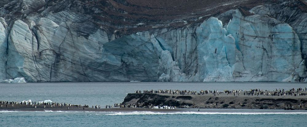 Glaciers and Penguins