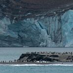 Glaciers and Penguins