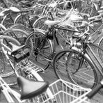 Gladbeck (02) - Neue Fahrräder