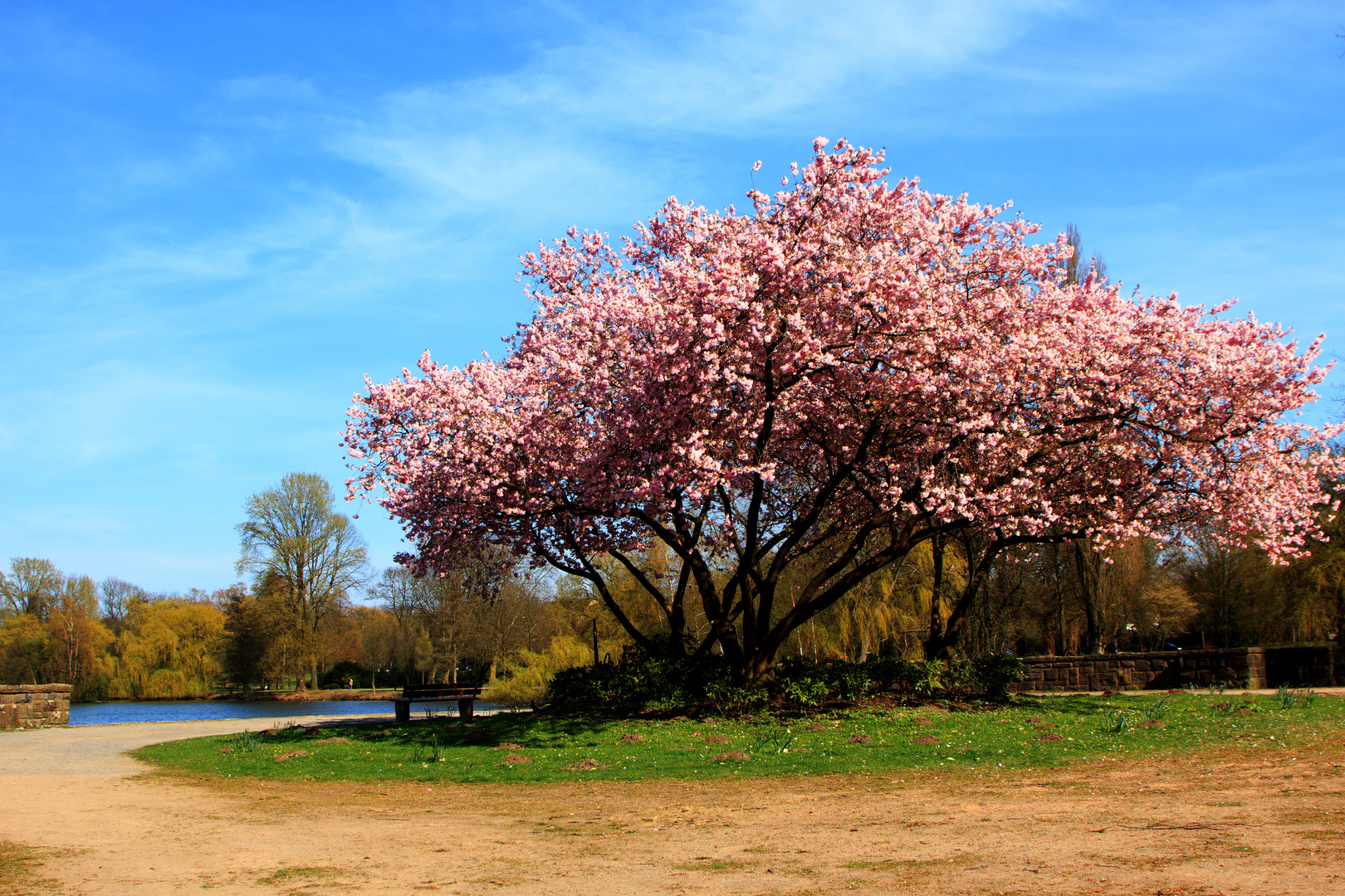 Gladbeck - Frühlingsfarben satt!