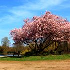 Gladbeck - Frühlingsfarben satt!