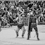 Gladiator... im "Circus Maximus" (Circo Massimo) 