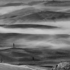 Gladiatoren mit Bodennebel im Val d'Orcia