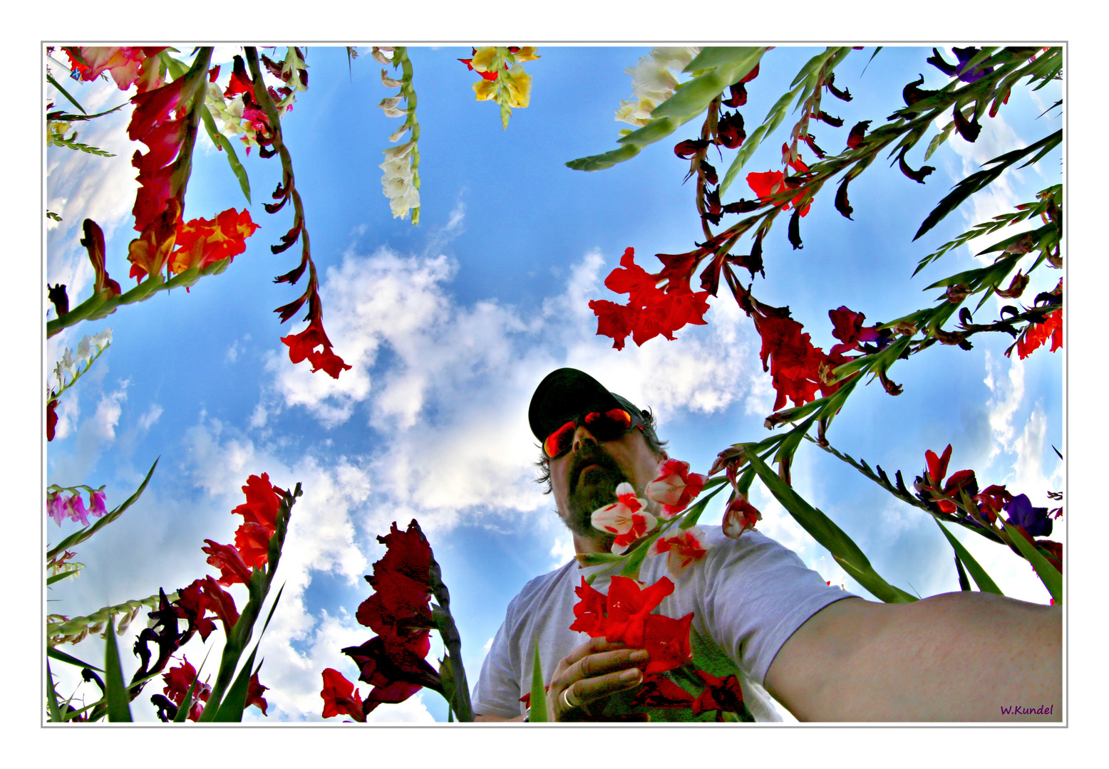 Gladiolator