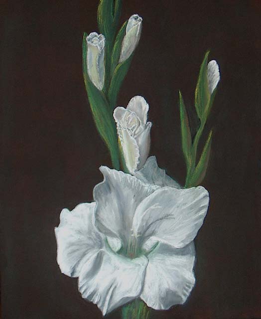 Gladiole in Acryl und Pastell