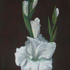 Gladiole in Acryl und Pastell