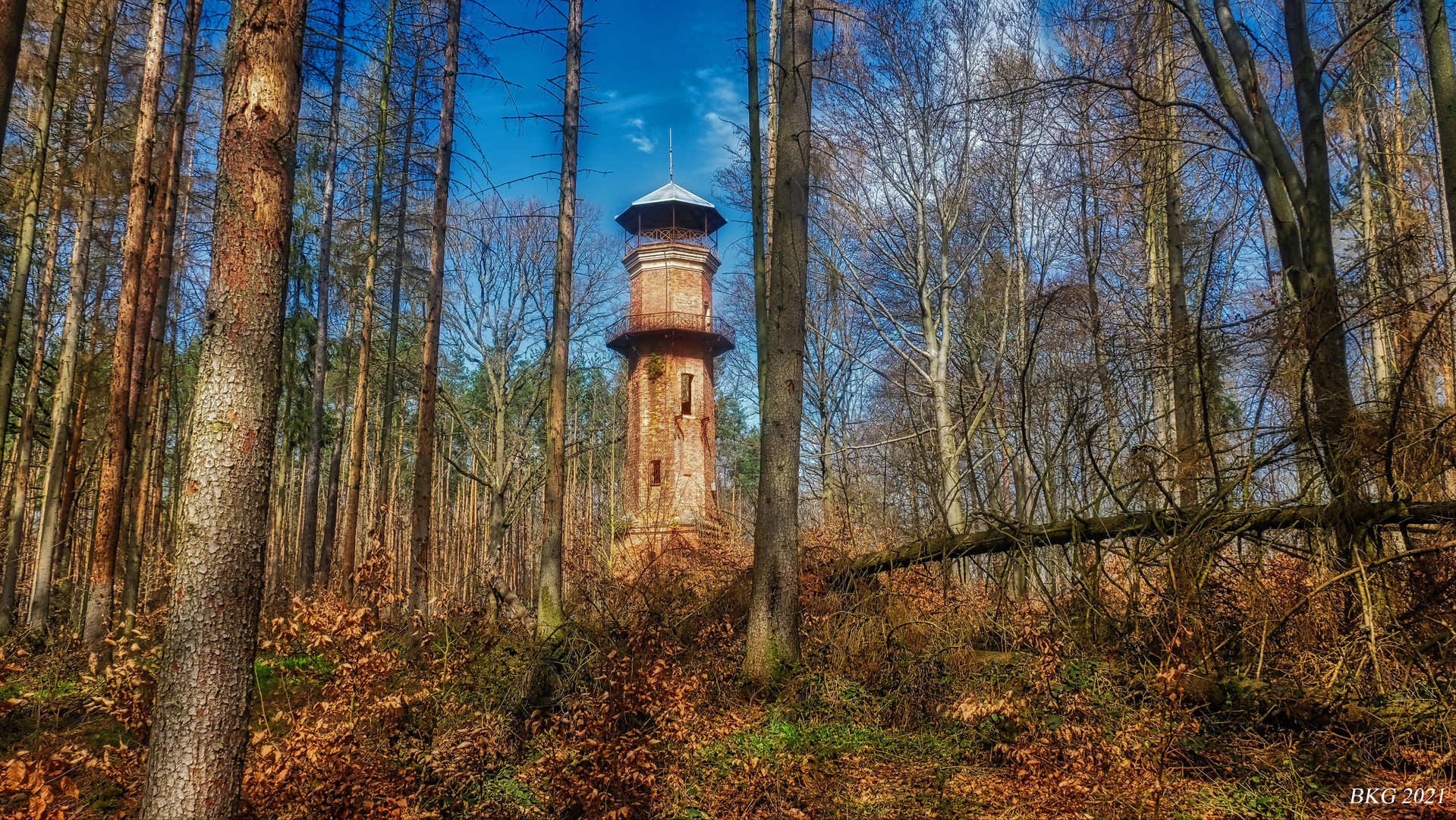 Gladitschturm Gera im Frühling 