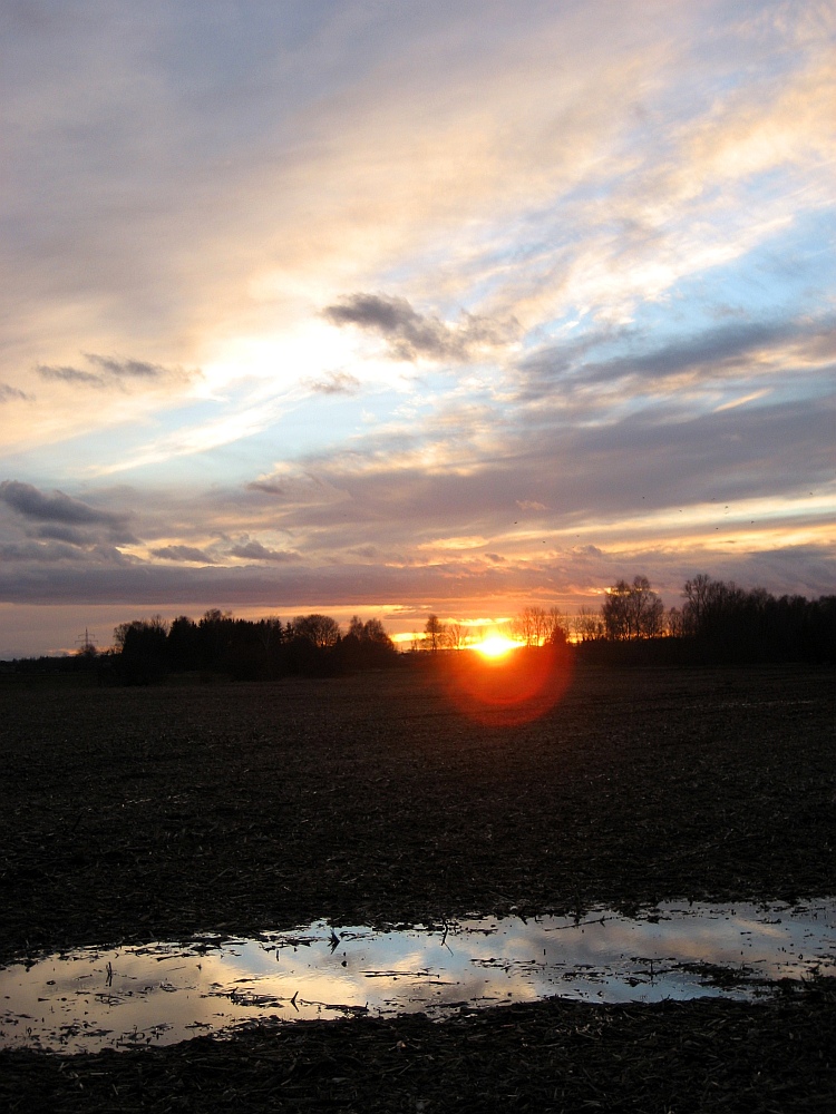 Glänzende Aussichten