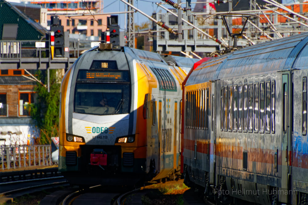 GLÄNZENDE BEGEGNUNG AUF DER STADTBAHN