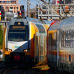 GLÄNZENDE BEGEGNUNG AUF DER STADTBAHN