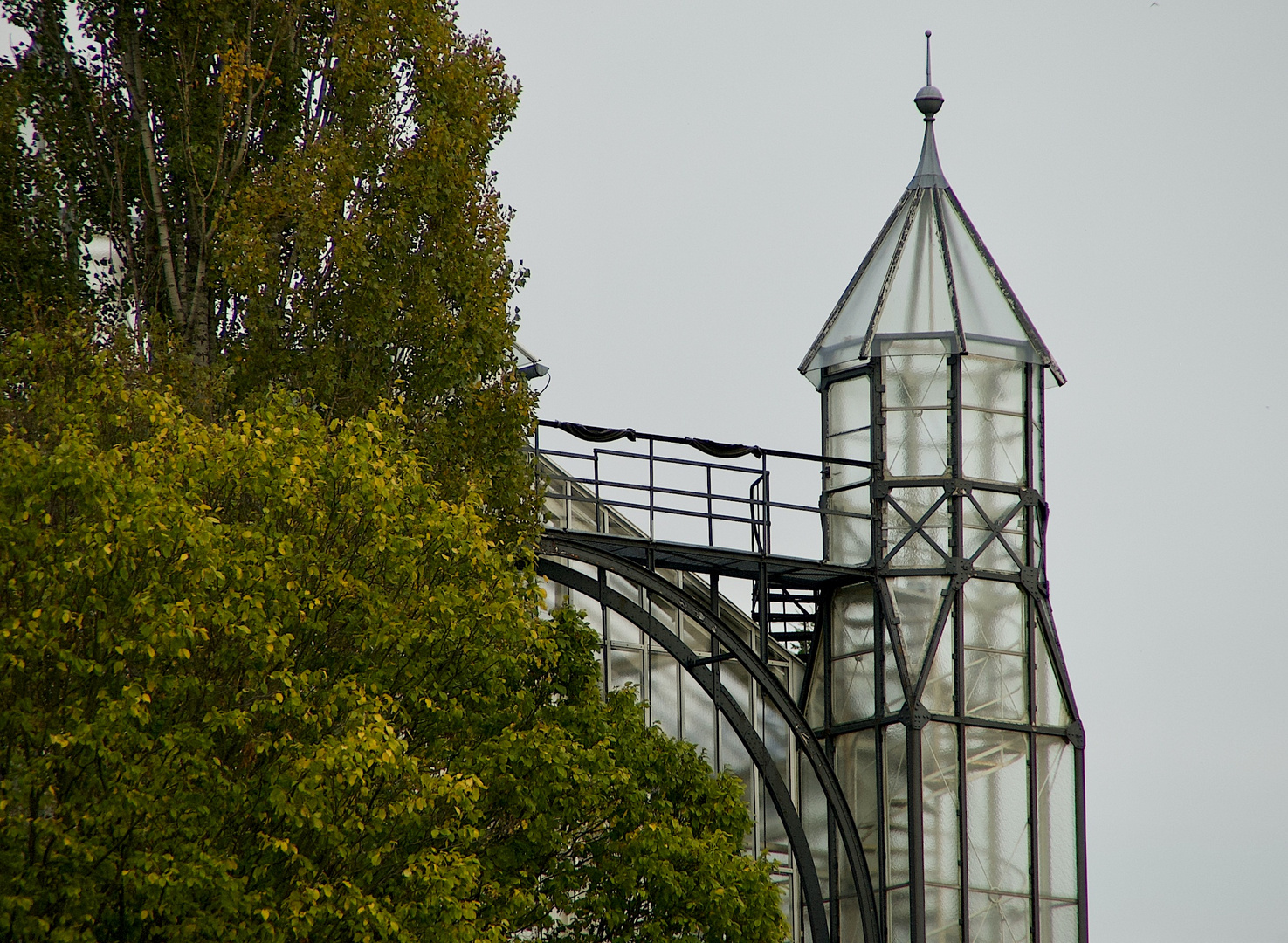 Gläsern im Botanischen Garten Berlin