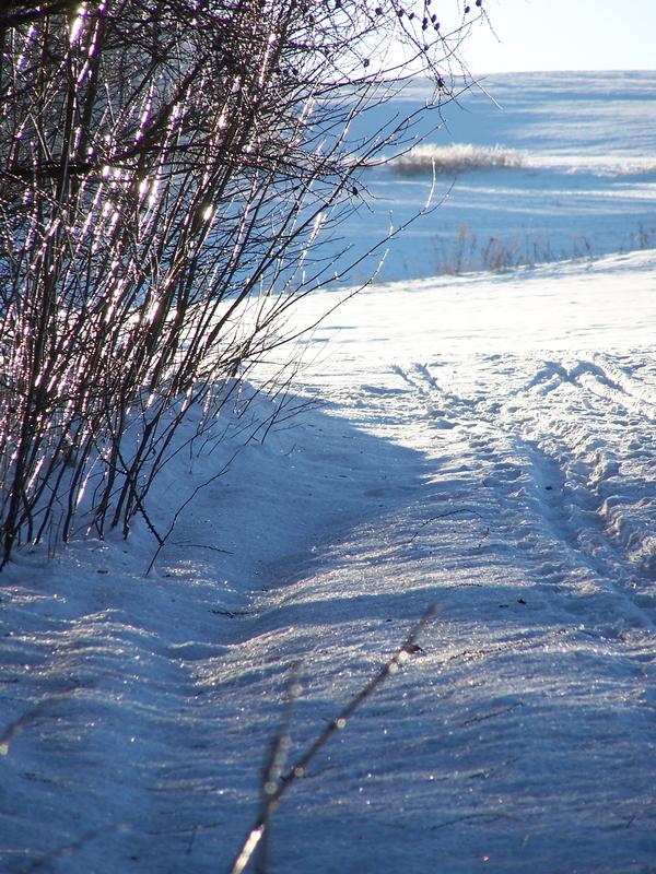 gläserne Landschaft