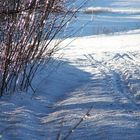 gläserne Landschaft