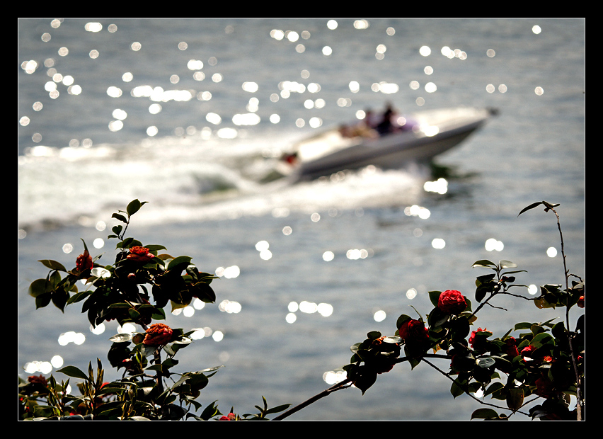 Glamour am Lago di Lugano