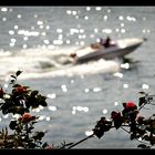 Glamour am Lago di Lugano